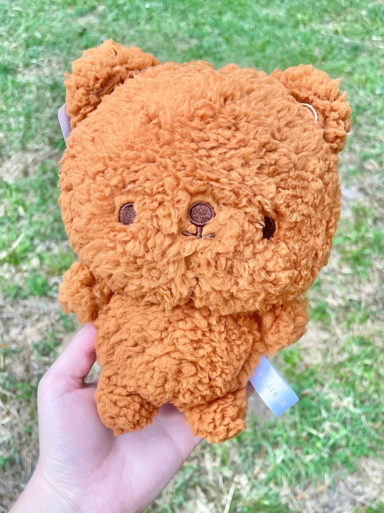 Fujibee Classic Brown Teddy Bear Boutique Plushie