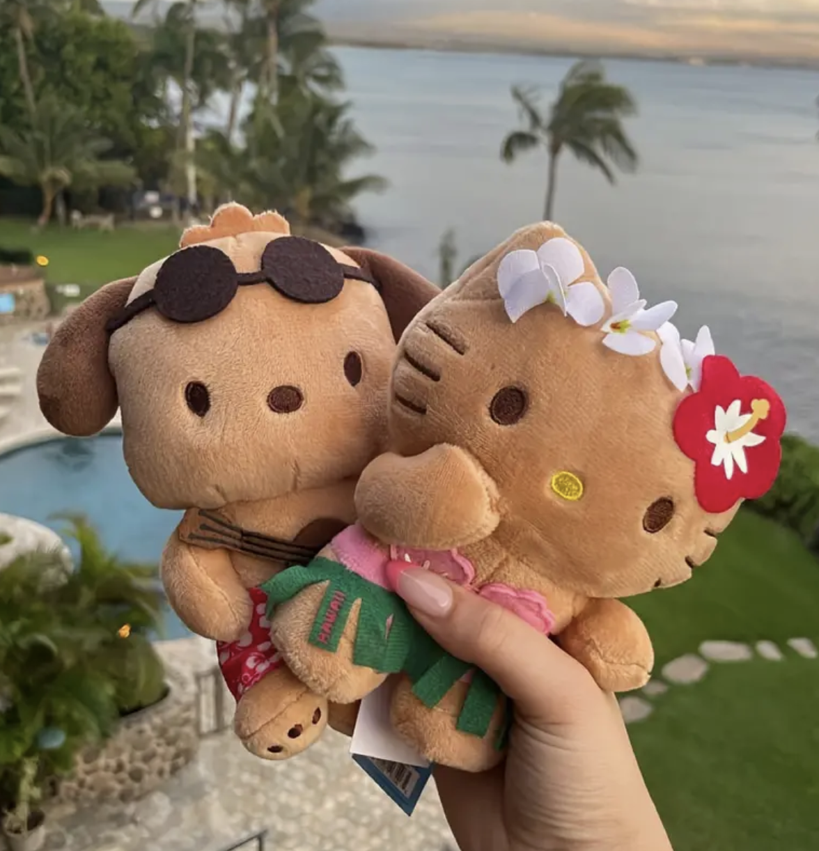 The Hang Loose Pochacco Ukulele Hawaiian Plushie perfectly captures the essence of relaxation and fun. Cheerful and friendly, this peace-lovin and extremely huggable pup will bring bliss to whatever room he calls home. Hip-sway your way to hooray! Sanrio, Cute, Kawaii