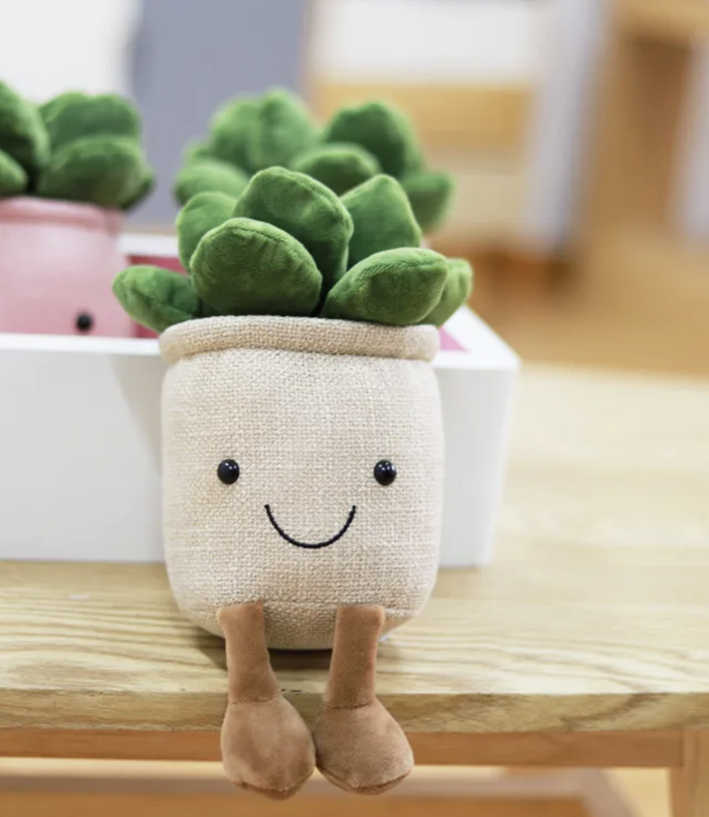 Our Succulent Potted Plant Plushies will delight with their soft, fluffy foliage, their warm, joyful smiles and their fun, floppy legs. We promise these perfectly pleasant plants will melt even the heaviest of hearts !