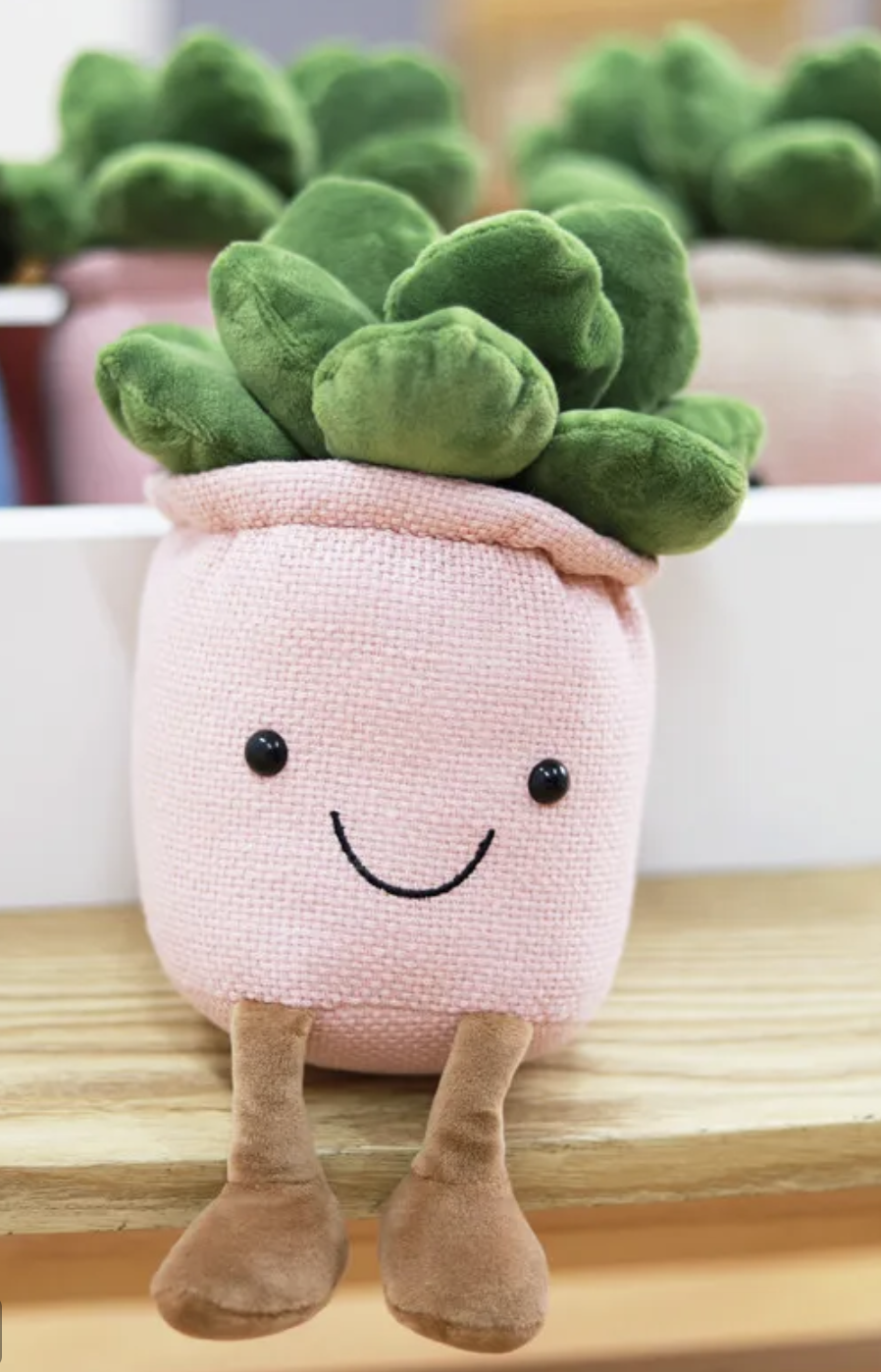 Our Succulent Potted Plant Plushies will delight with their soft, fluffy foliage, their warm, joyful smiles and their fun, floppy legs. We promise these perfectly pleasant plants will melt even the heaviest of hearts !