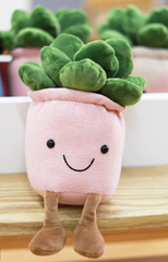 Our Succulent Potted Plant Plushies will delight with their soft, fluffy foliage, their warm, joyful smiles and their fun, floppy legs. We promise these perfectly pleasant plants will melt even the heaviest of hearts !